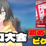 久しぶりのソロ大会で人生初めてビクロイ！！！【フォートナイト/Fortnite】