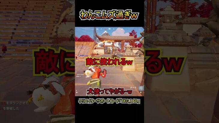 わんこを敵に当てるのむず過ぎｗｗ【フォートナイト/Fortnite】