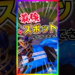 今だけできる‼️最強のハイドスポットへの行き方‼️【フォートナイト/fortnite】