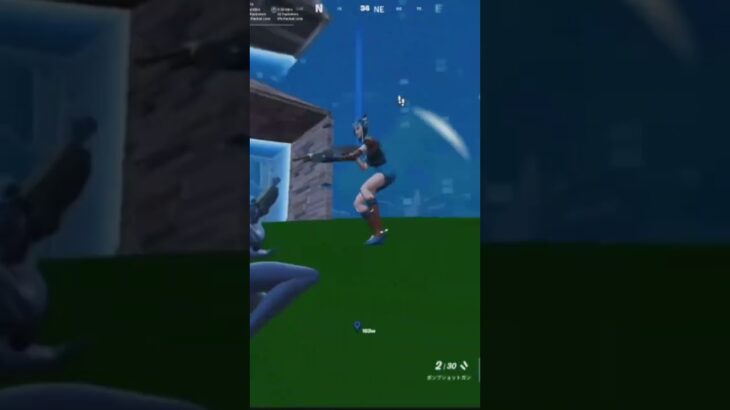 中東ソロ大会でビクロイ！#フォートナイト #fortnite #shorts