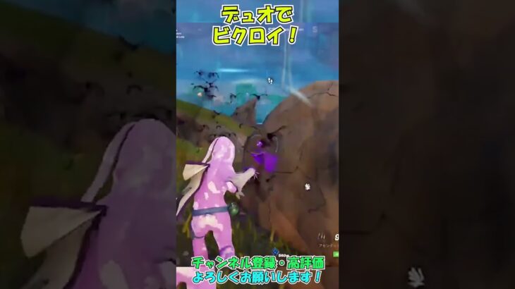 視聴者さんとデュオでビクロイを取ったマッチ！ #shorts #fortnite #V #フォトナ #バズれ #ゲーム実況