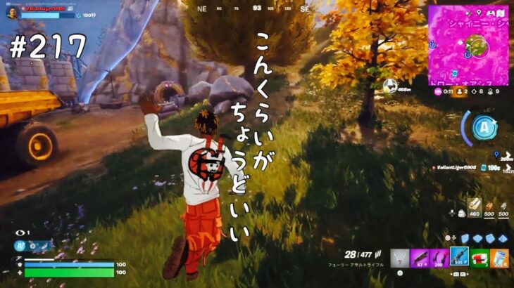 建築できなくてもビクロイ目指す人/switchとデュオ #217 Fortnite(2025.6.15)
