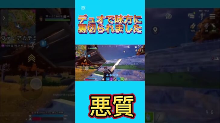 デュオで味方に裏切られました #フォートナイト #プロゲーマー #裏切り#ネフライト