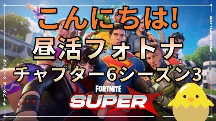【昼活】フォートナイト