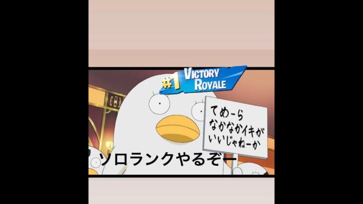 フォートナイトソロランク