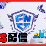 フォートナイトソロ大会！w