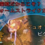 こんな環境だからこそ？スウォームストライクが強い⁉︎デュオ10キルビクロイ‼︎［フォートナイト/ゼロビルド］#373