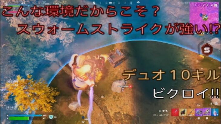 こんな環境だからこそ？スウォームストライクが強い⁉︎デュオ10キルビクロイ‼︎［フォートナイト/ゼロビルド］#373