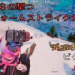 空中から撃つスウォームストライクが強い‼︎デュオ15キルビクロイ‼︎［フォートナイト/ゼロビルド］#361