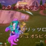 エンハンスハボックショットガン強くね？デュオ5ビクロイ‼︎［フォートナイト/ブリッツロイヤル］#352