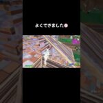デュオFNCS頑張ります期待しててください #フォートナイト #fortnite #大会