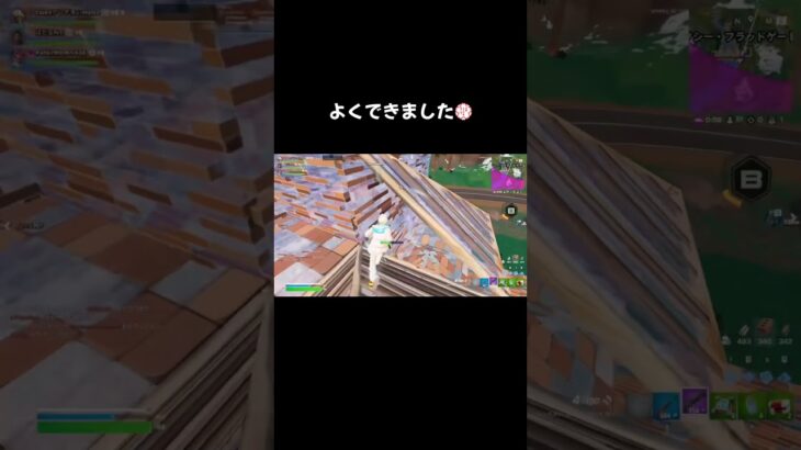 デュオFNCS頑張ります期待しててください #フォートナイト #fortnite #大会