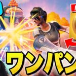 ワンパンマンがフォートナイトにやって来た!?【フォートナイト/Fortnite】