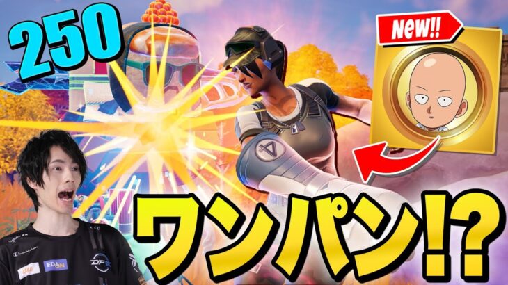 ワンパンマンがフォートナイトにやって来た!?【フォートナイト/Fortnite】