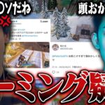 Perterbotが”大会決勝でのチーミング”にブチギレてるについて。【Fortnite/フォートナイト】