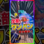 最強メダリオン爆誕‼️敵をツルハシでワンパンできちゃう最強メダリオンがヤバすぎる！ワンパンマンコラボ！【フォートナイト/fortnite】