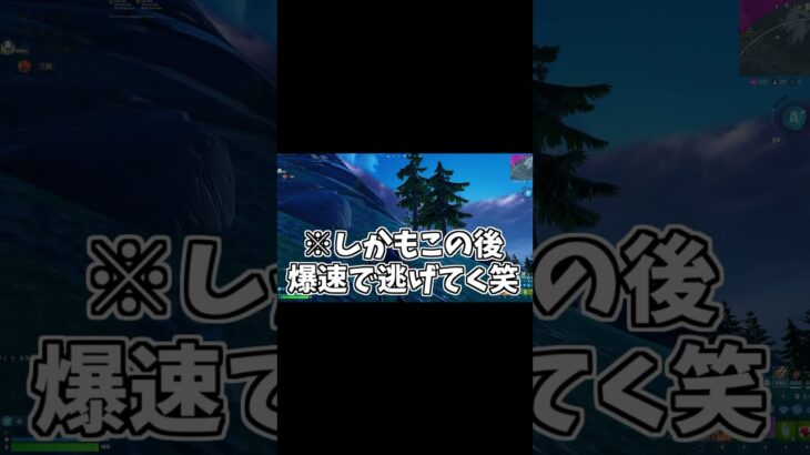 昨日のソロ大会おもろい奴多すぎ笑 #フォートナイト #fortnite #shorts