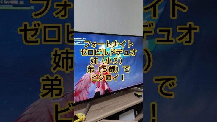姉弟でフォートナイトゼロビルドデュオ、ビクトリーロイヤル！#shorts #フォートナイト #fortnite #ビクロイ