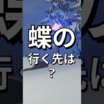 蝶の行く先を追う！が….！？【レゴフォートナイト】 #フォートナイト  #レゴフォートナイト #ゲーム実況 #shorts #legofortnite #ずんだもん #fortnite