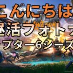 【昼活】フォートナイト
