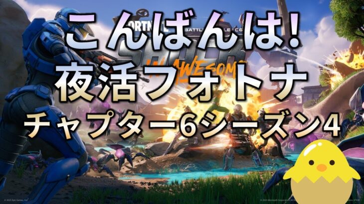 【夜活】フォートナイト（非参加型/野良スク）