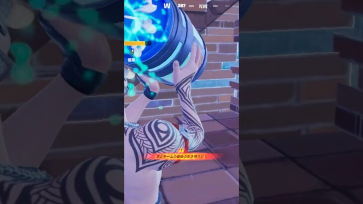 ソロが1番やりやすい☝🏻 #fortnite #フォートナイト #music