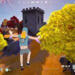 20250911-3 Fortnite Blitz Royale Solo【フォートナイト】【ブリッツロイヤル】【ソロ】