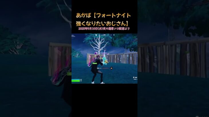 通常ソロで落ち着いてビクロイ！_C6S4　 #フォートナイト #fortnite #40代 #おじさん #通常マッチ #ソロ #ビクロイ