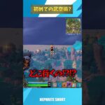 回線落ちしたら空飛べるようになるらしい【フォートナイト/Fortnite】