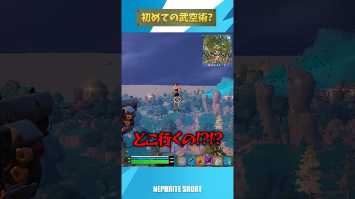 回線落ちしたら空飛べるようになるらしい【フォートナイト/Fortnite】