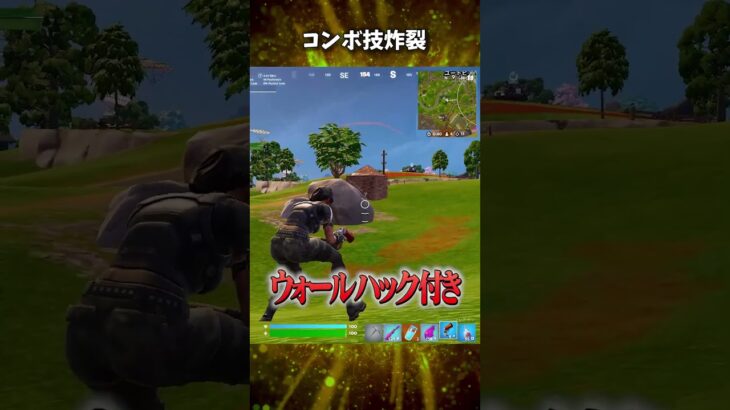 見つかったが最後、フレアガンでコンボキル！【フォートナイト/Fortnite】
