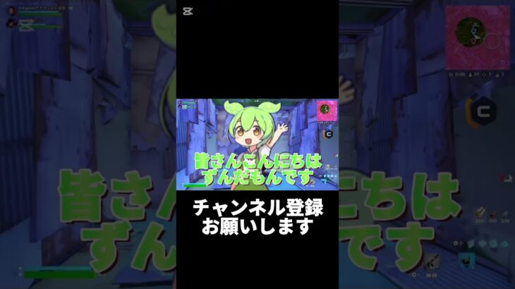 スイッチ勢がデュオトライアルに挑んでみた[デュオトライアル]【Fortnite/フォートナイト】#フォートナイト #fortnite #スイッチ勢