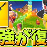 アップデートで最強のMKアサルトが帰ってきた！！【フォートナイト】【ゆっくり実況】