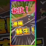 ヤバすぎ‼️遠隔蘇生がローリー・ポリーでできちゃうのはヤバすぎる‼️【フォートナイト/fortnite】