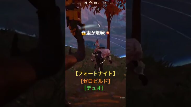 ⭐️フォートナイト⭐️ゼロビルドデュオ⭐️#フォートナイト #ゼロビルド #fortnite #デュオ 　　　　　　　　　　　#fyp