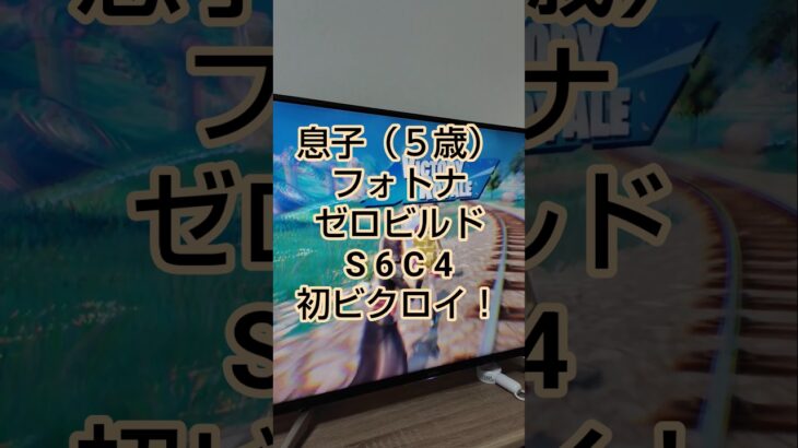 フォートナイトゼロビルドソロ、今シーズン初ビクトリーロイヤル！#shorts #フォートナイト #fortnite #ビクロイ