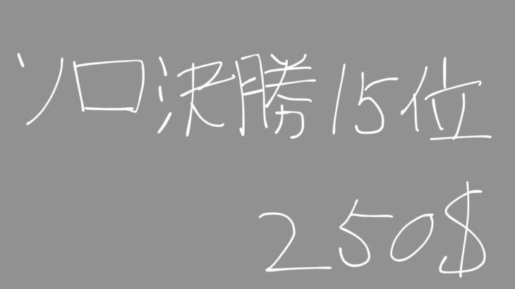ソロシリーズ決勝15位!!!(250$)【FORNITE/フォートナイト】