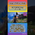 【フォートナイト】 ビクロイ集 パート30 小学3年生 バトルロイヤル デュオ