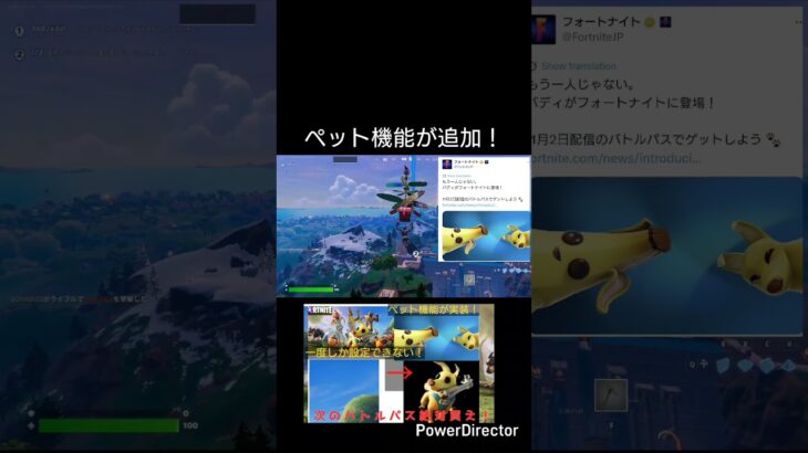 チャプター6ミニシーズン2でペット機能(バディが追加!)#フォートナイト