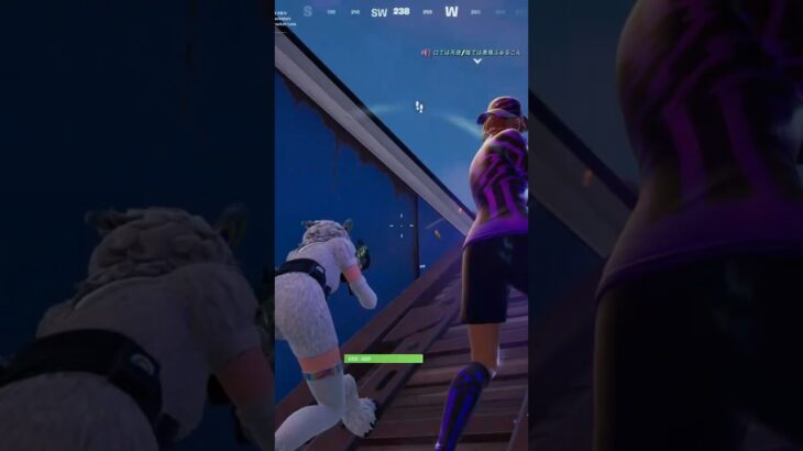 【フォートナイト/FORTNITE】ゼロビルド リロード デュオ