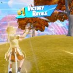 ビクロイ！９撃破！ゼロビルド/デュオ【Fortnite/フォートナイト】