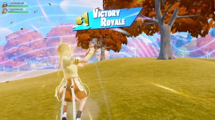 ビクロイ！９撃破！ゼロビルド/デュオ【Fortnite/フォートナイト】