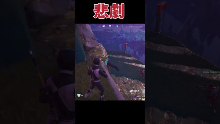 崖近く走ってたら、、、#フォートナイト #Fortnite#ゼロビルド#ゲーム実況#ショート #shorts