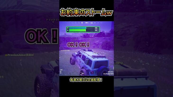 お約束のストームダメージｗｗ【フォートナイト/Fortnite】#shorts