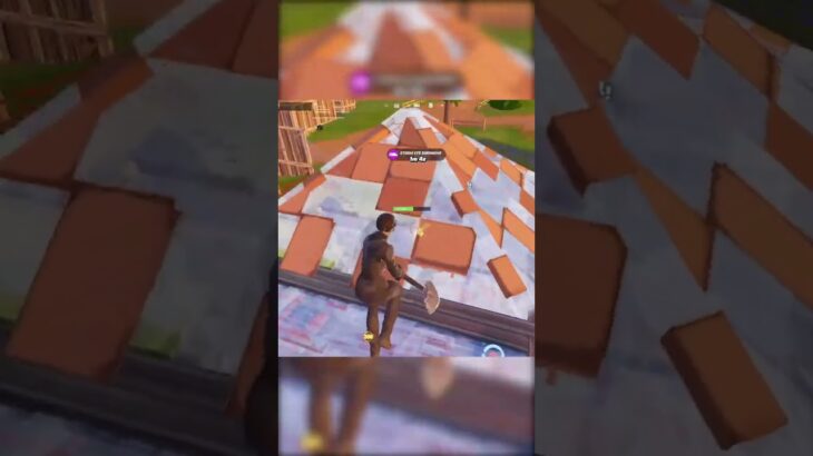 PETERBOT vs CHEATER IN Solo Cash CUP 👑