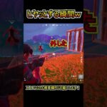 ウッドステークSGでヒヤッとする瞬間ｗｗ【フォートナイト/Fortnite】#shorts