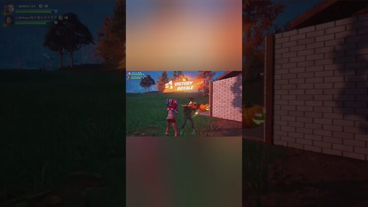 久しぶりのデュオ🫰 #フォートナイト #fortnite