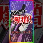 やば過ぎスタミナ爆増バグ‼️ラスト・コールを使ったスタミナ爆盛りバグがヤバ過ぎた‼️【フォートナイト/fortnite】