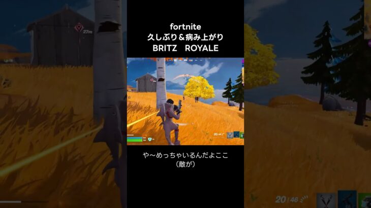 #fortnite #フォートナイト #britz  #ブリッツ  #デュオ #epic
