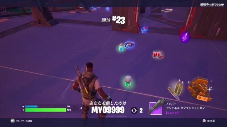 <ゼロビルド>フォートナイト デュオ.ソロ配信